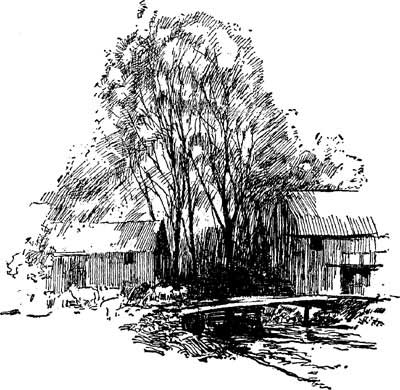 400x390  - Domain Drawing