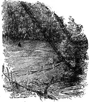 350x400  - Domain Drawing