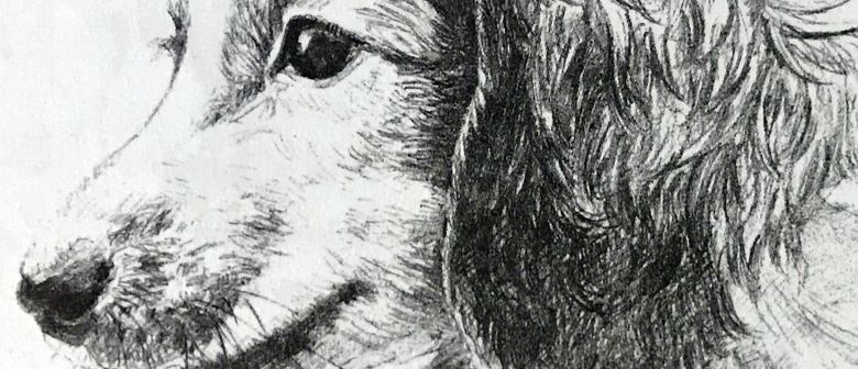 780x336 Drawing - Domestic Animals Drawing Pictures