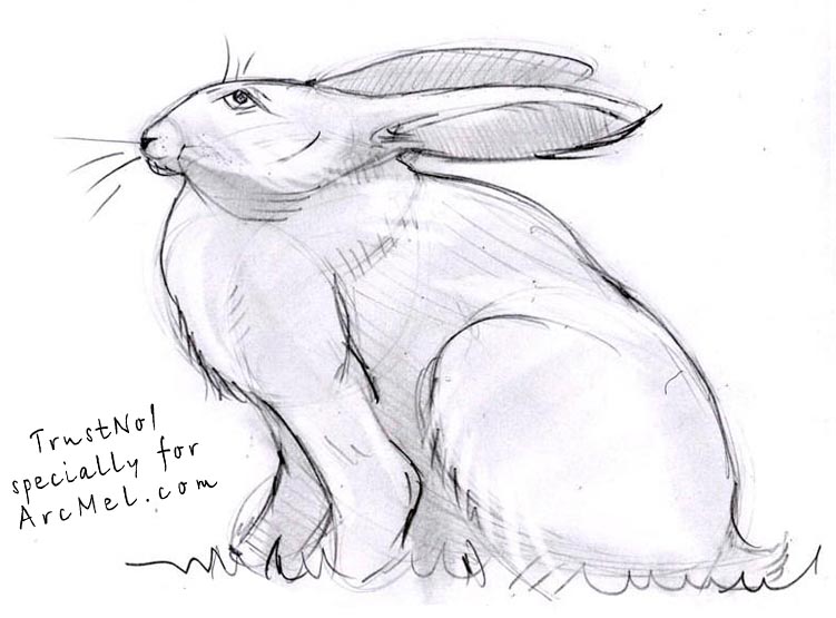 751x555 Wild And Domestic Animals Stranitca - Domestic Animals Drawing Pictures