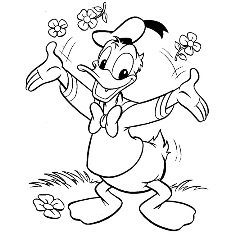 760x760 donald duck cartoon images for drawing - Donald Duck Cartoon Drawing