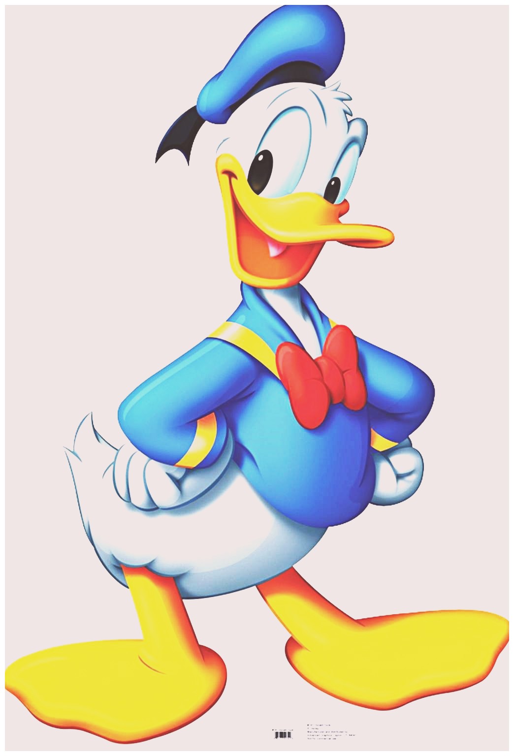 Donald Duck Cartoon. 