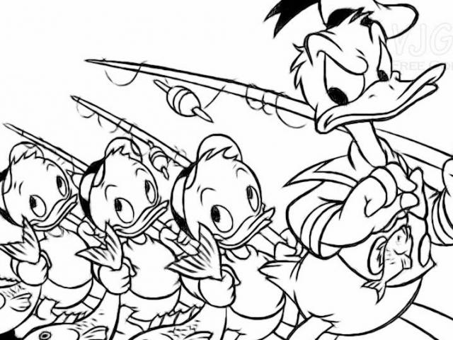 640x480 drawn donald duck cartoon - Donald Duck Cartoon Drawing