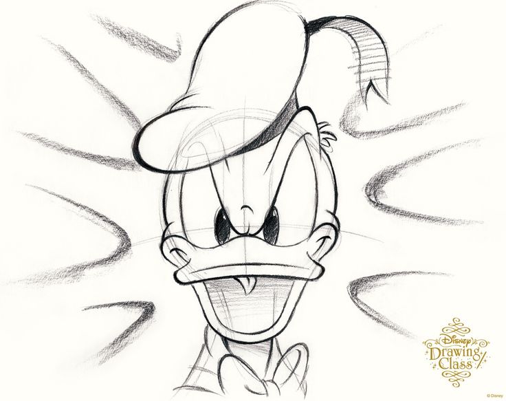 736x583 drawn donald duck cartoon network - Donald Duck Cartoon Drawing