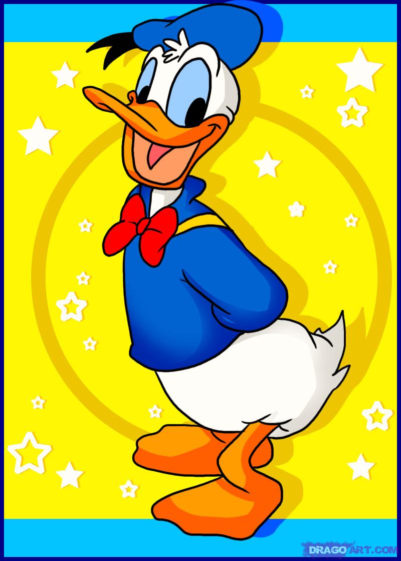 800x1119 how to draw donald duck, step - Donald Duck Cartoon Drawing