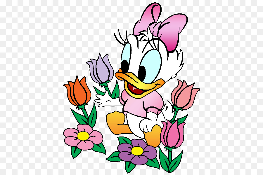 900x600 Cartoon, Duck, Drawing, Transparent Png Image Clipart Free Download - Donald Duck Cartoon Drawing
