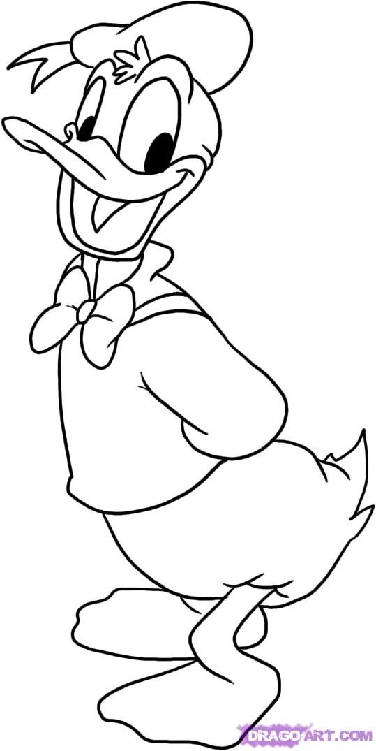 539x1075 how to draw donald duck step line art cartoon drawings - Donald Duck Cartoon Drawing