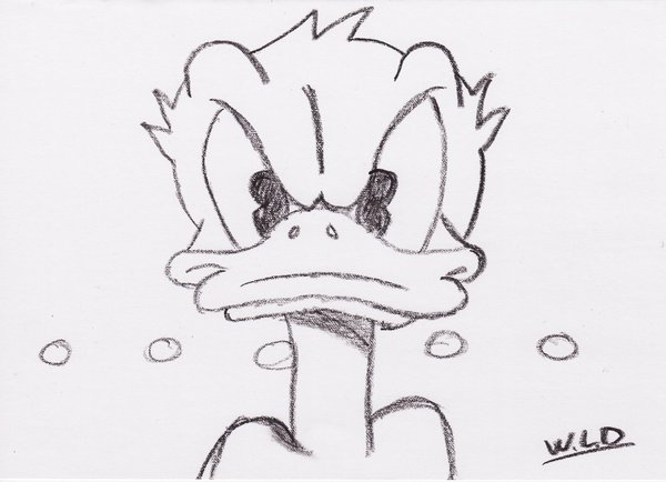 600x434 Mad Donald Duck Drawing - Donald Duck Drawing