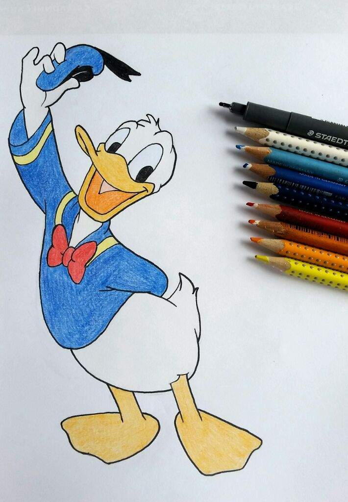 710x1024 My Donald Duck Drawing Disney Amino - Donald Duck Drawing