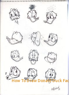 236x324 how to draw donald duck face easy donald duck face drawing - Donald Duck Drawing Step By Step