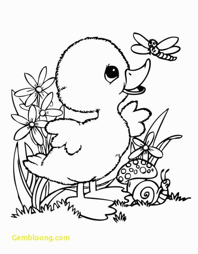 649x832 donald duck coloring pages to print for free duck coloring pages - Donald Duck Line Drawing