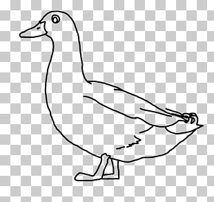 310x293 Donald Duck Drawing Line Art Line Drawing Png Clipart Free - Donald Duck Line Drawing