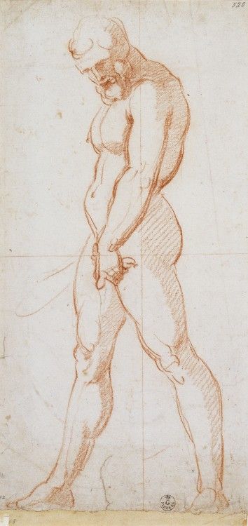 354x750 donatello drawing drawing museum drawings, old master, gardner - Donatello Drawings