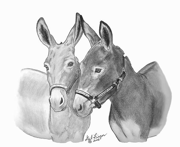600x490 Donkey Friends Drawing - Donkey Drawing
