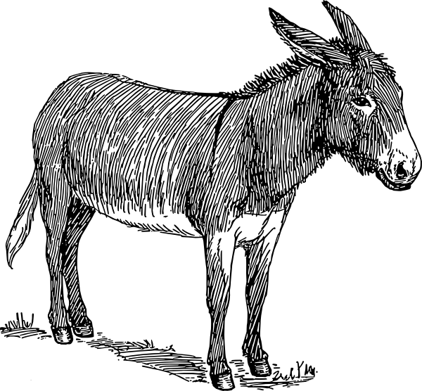 600x556 Donkey Drawing Clip Art - Donkey Drawing