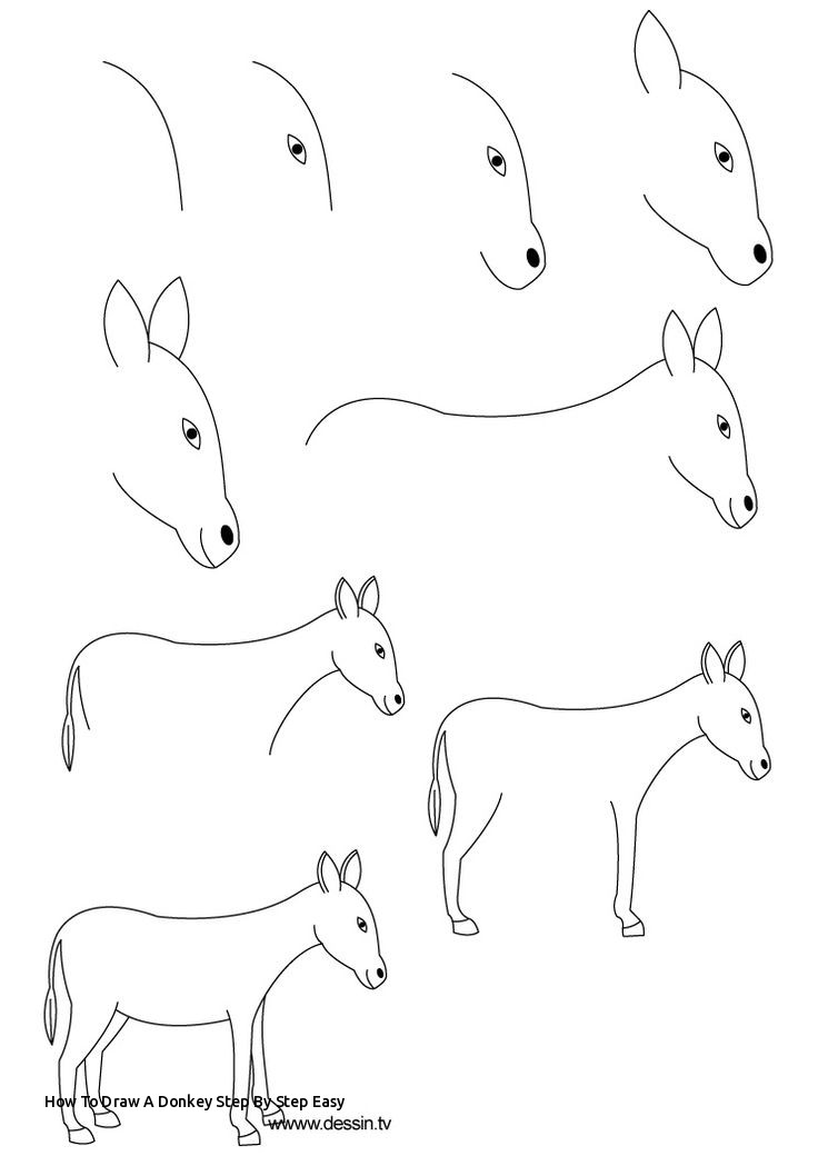 736x1040 How To Draw A Donkey Step - Donkey Drawing Easy