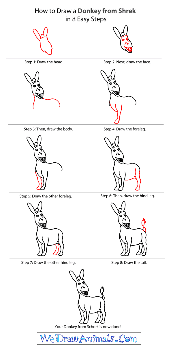600x1206 How To Draw Donkey From Shrek - Donkey Drawing Easy