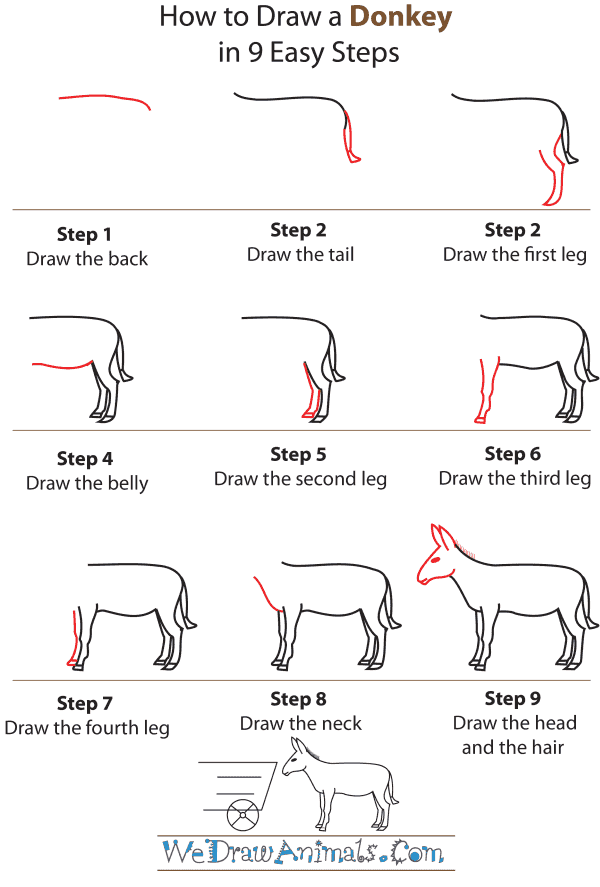 600x887 How To Draw A Donkey - Donkey Drawing Easy