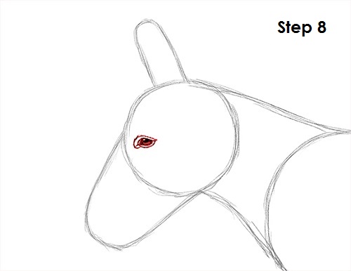 500x386 How To Draw A Donkey - Donkey Drawing Easy