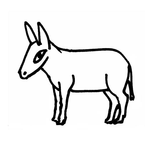 500x507 Donkey Coloring Pages - Donkey Drawing Images