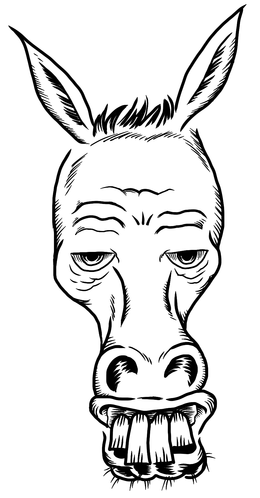 897x1714 donkeys malcontent comics incorporated presents - Donkey Drawing I...