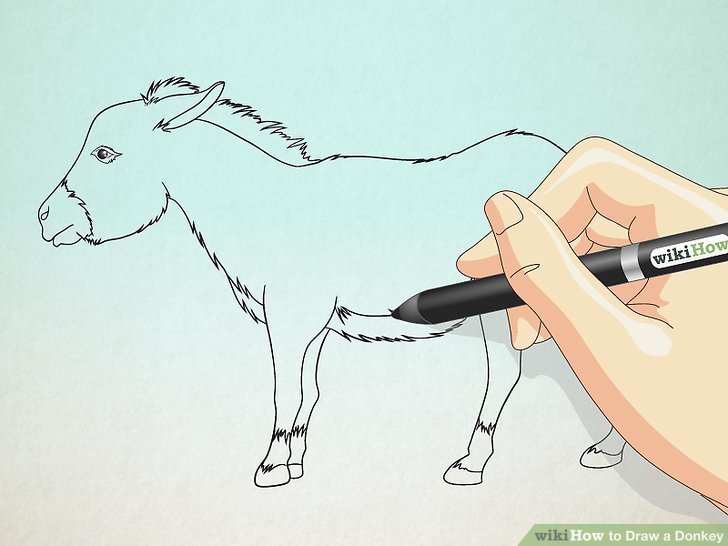 728x546 How To Draw A Donkey Steps - Donkey Drawing Images