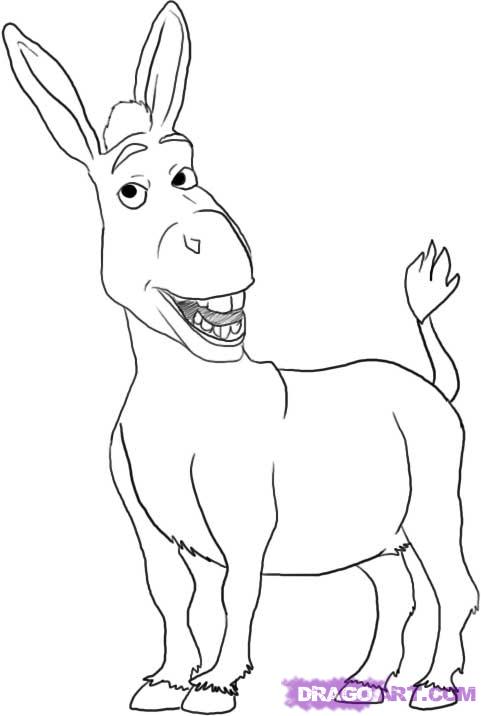 481x716 Step How To Draw Donkey From Shrek - Donkey Drawing Images