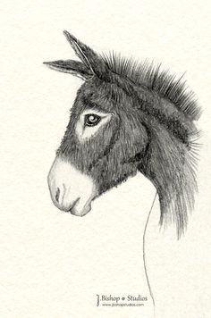 236x356 How To Draw A Donkey Drawings Como Dibujar - Donkey Drawing Images