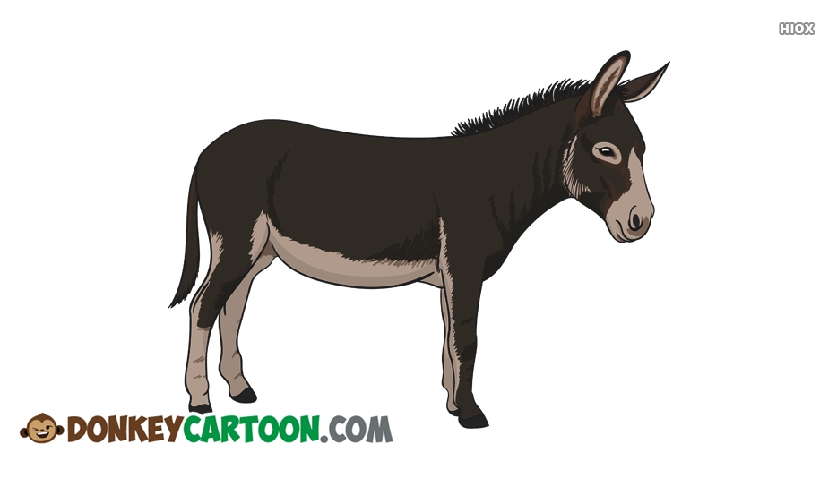 934x534 Donkey Outline Drawing - Donkey Drawing Outline