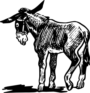 291x299 Donkey Outline In Black And White Clip Art - Donkey Drawing Outline