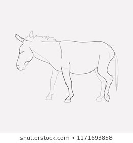 260x280 Donkey Sketch Burro Drawing Democrat Unique Donkey Outline Stock S - Donkey Drawing Outline