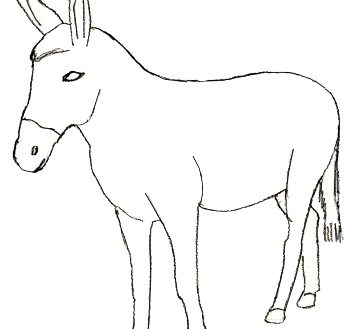 350x329 Incredible Design Ideas Outline Picture Of Donkey How To Draw - Donkey Drawing Outline
