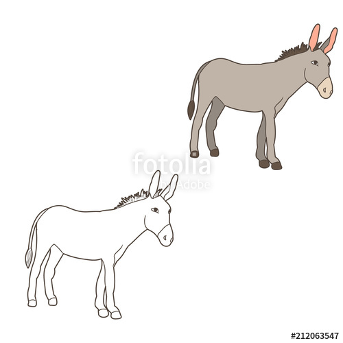 500x500 Donkey, Mule, Outline Stock Image And Royalty Free Vector - Donkey Drawing Outline