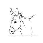 150x150 Learn How To Draw A Donkey Face - Donkey Face Drawing