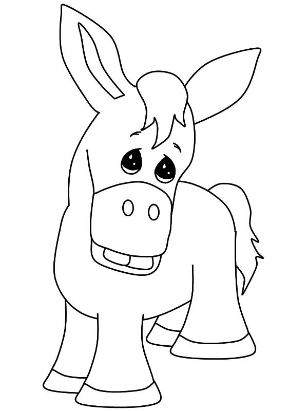 600x800 Donkey Face Drawing - Donkey Face Drawing