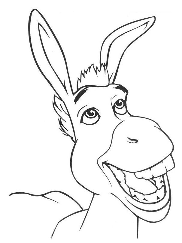 606x811 Donkey Coloring Page - Donkey Face Drawing