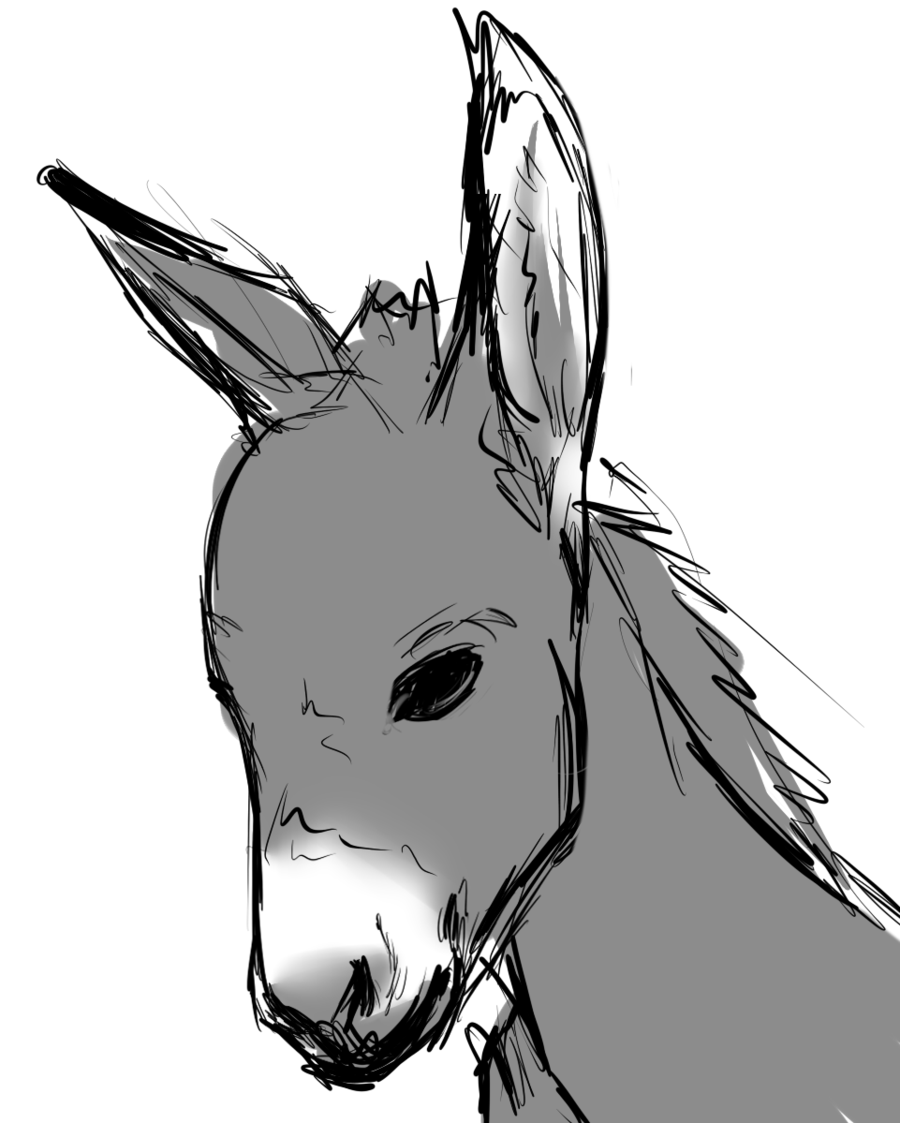 Donkey Face Drawing at Explore collection of