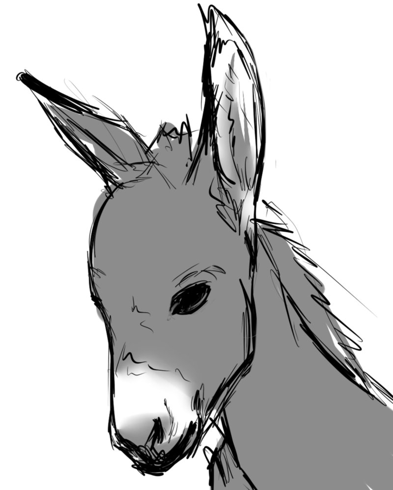 800x998 Donkey Head Drawing - Donkey Head Drawing