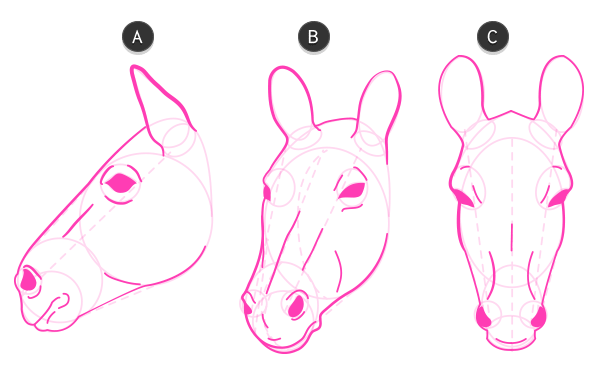 600x368 How To Draw Animals Zebras And Giraffes - Donkey Head Drawing