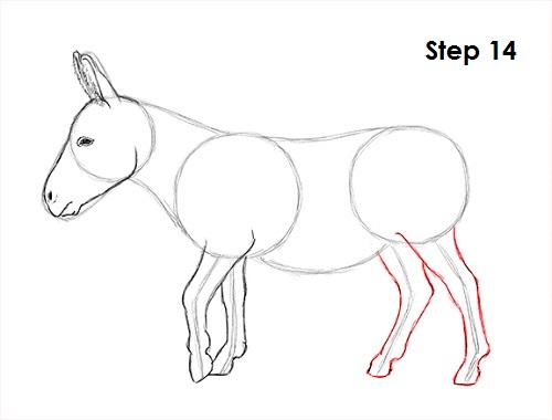500x380 How To Draw A Donkey - Donkey Head Drawing