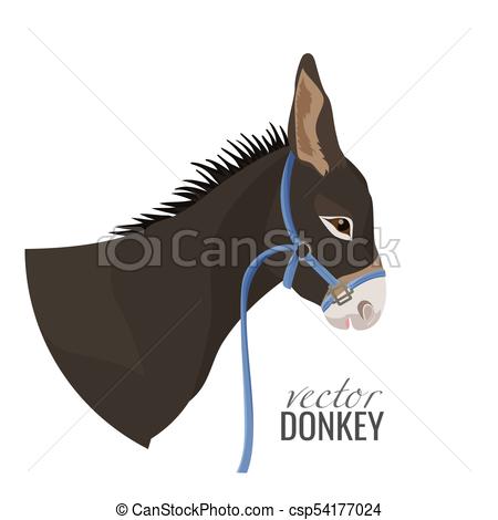 450x470 Adorable Donkey Head With Black Mane In Blue Harness Adorable - Donkey Head Drawing