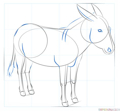 473x436 line drawing donkey chellye drawings, donkey drawing, donkey - Donkey Line Drawing