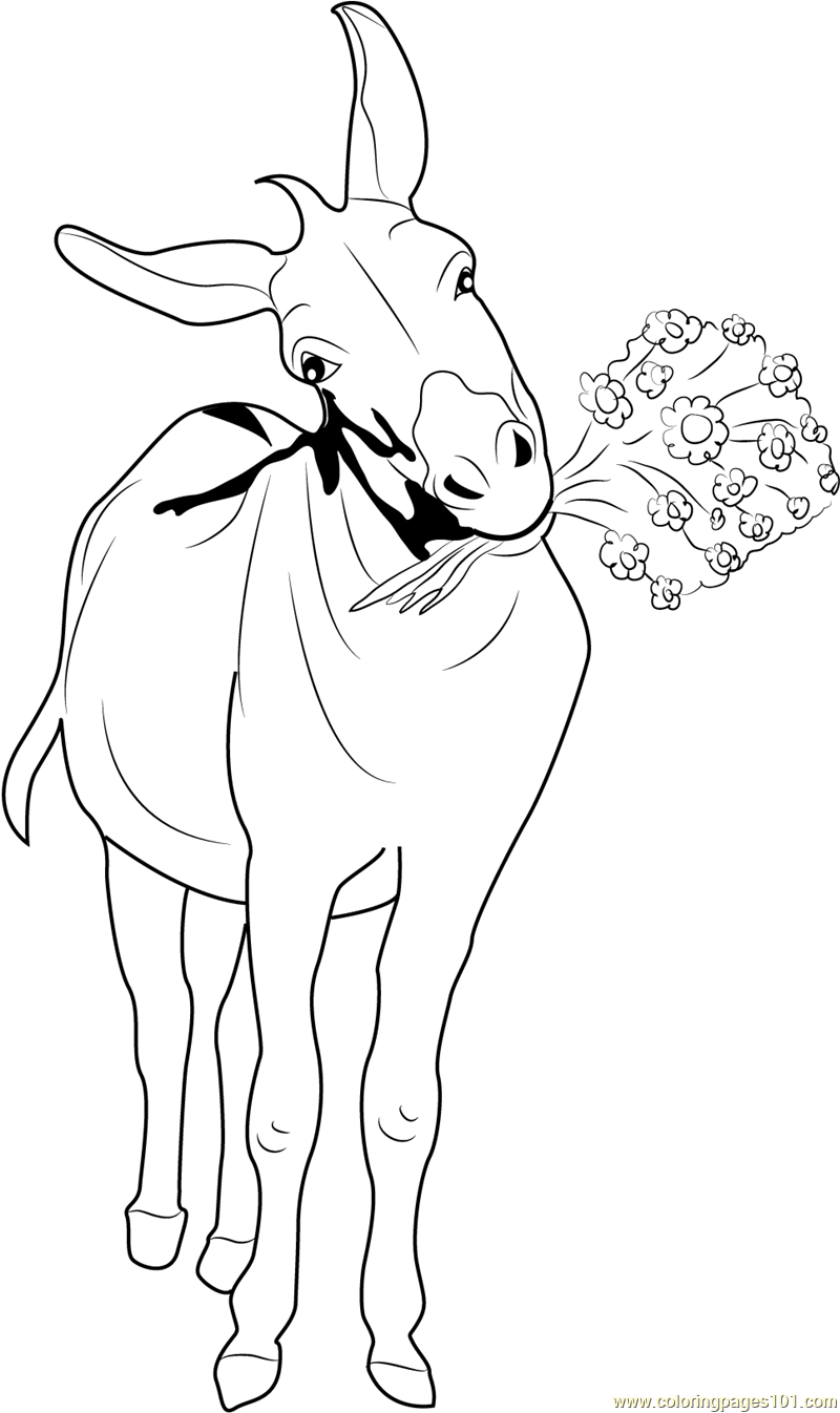 800x1346 Prentresultaat Vir Donkey With Flowers Drawing Donkie Drawings - Donkey Line Drawing