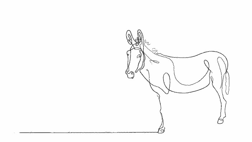 852x480 Drawing Animation Of Continuous One Line Drawing - Donkey Line Drawing