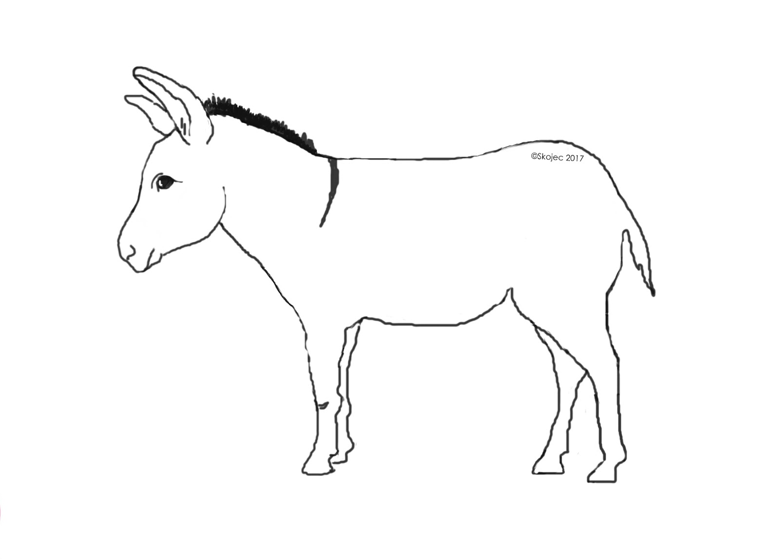 1600x1147 Donkey Drawing Line For Free Download - Donkey Line Drawing