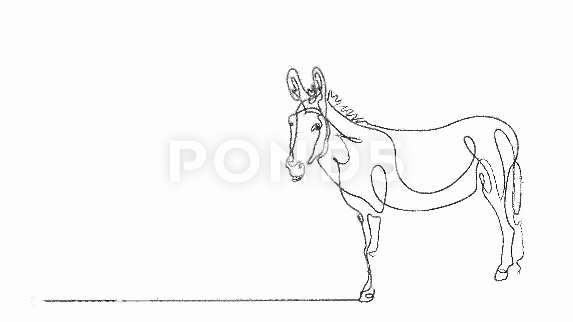 1920x1080 Continuous Line Drawing Of Donkey Mule Hi Res - Donkey Line Drawing