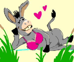 300x250 Donkey Wearing A Bra - Donkey Shrek Drawing