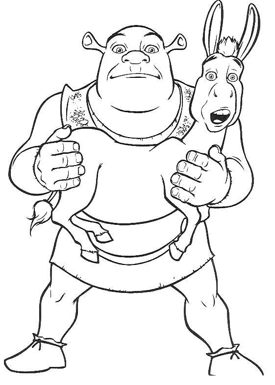 561x786 Online Coloring Pages Donkey, Coloring - Donkey Shrek Drawing