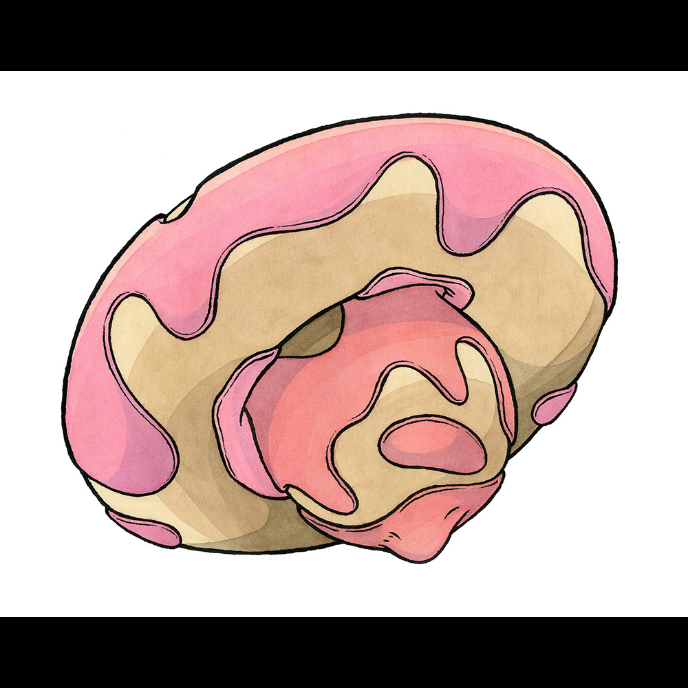 1000x1000 donut with hole, original drawing scott teplin - Donut Drawing