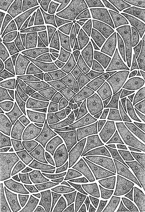 510x742 Pen Drawing Gallery Tom Cornish Artwork - Doodle Drawing
